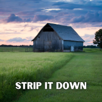 Strip It Down - Full Cover cover